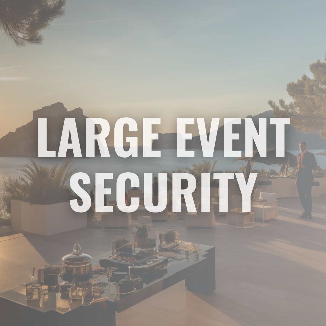 Large Event Security